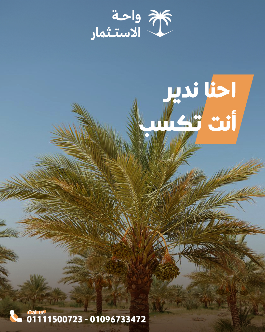Social Media Designs for Wahet Al Estethmar — 2