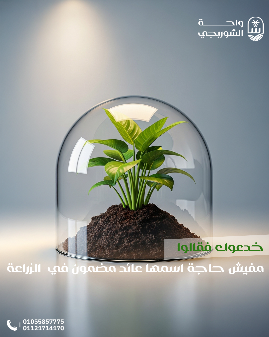 Social Media Designs for El Shorbagy Oasis — 6