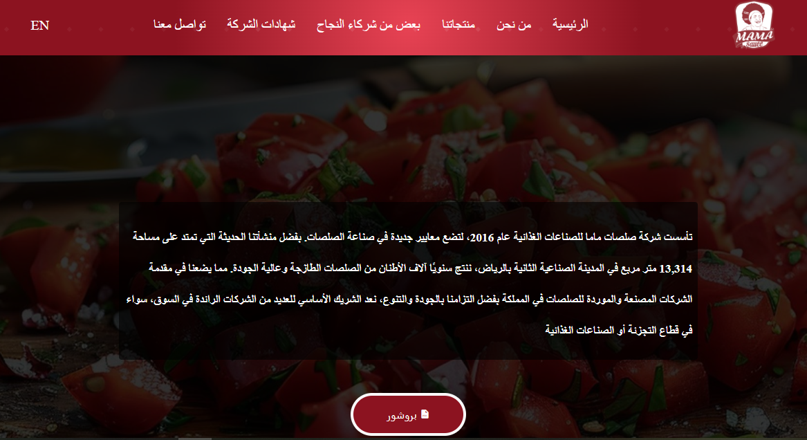 Website Design & Development for Mama Sauce