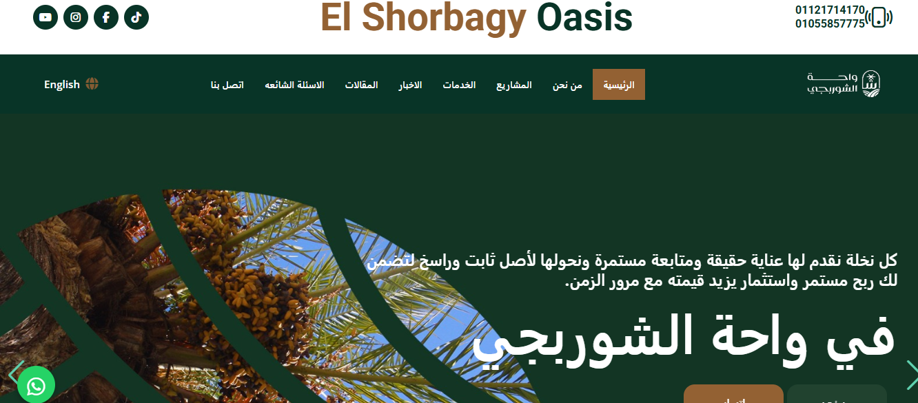 Website Design & Development for El Shorbagy Oasis